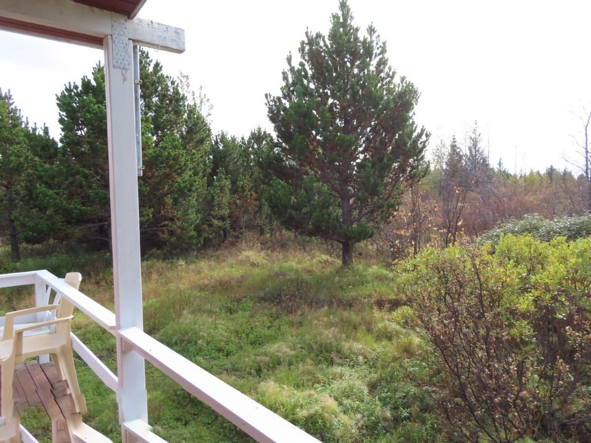 Red Riding Hood Cabin On The Golden Circle Next To Kerith セルフォス エクステリア 写真